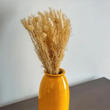 L'aurea Au Centre De